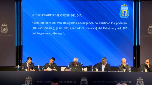 Nuevo papelón AFA oficial quita un descenso Primera División