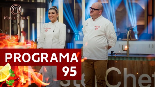 Programa 95