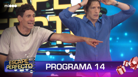Programa 14