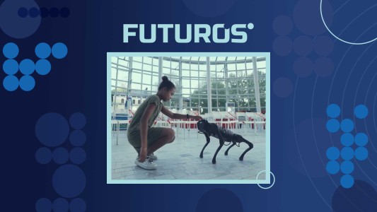 Programa 06