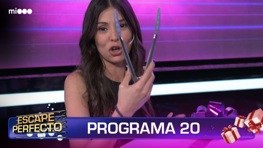 Programa 20