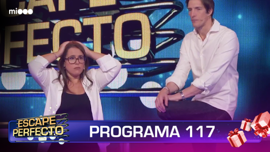 Programa 117