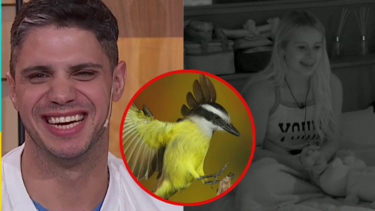Un pajaro los salvo de la cigueña: la divertida anecdota de "el cone" y Coty dentro de GH