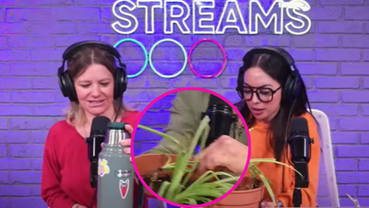 Jardineria con Sabrina Cortez: esquejes y tips para cuidar tus plantas