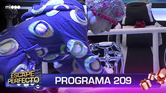 Programa 209