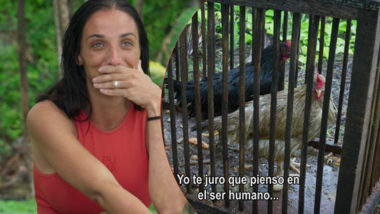 Fiorela habría dejado escapar a una de las gallinas del campamento Norte