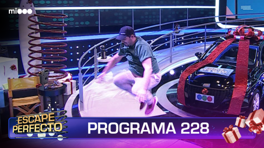 Programa 228