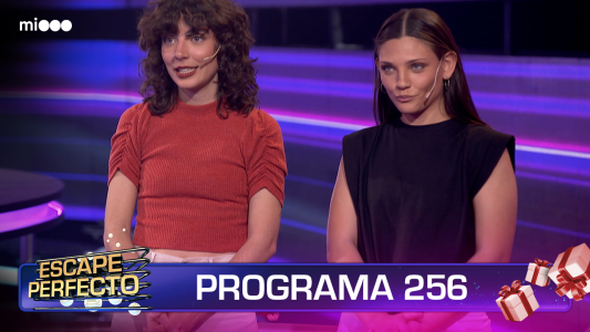 Programa 256