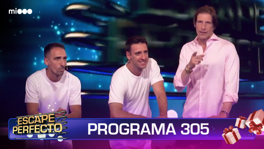 Programa 305