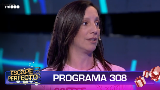 Programa 308