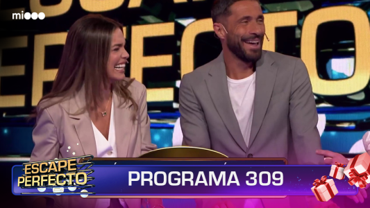 Programa 309
