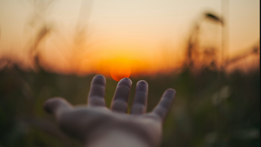 Vitamina D