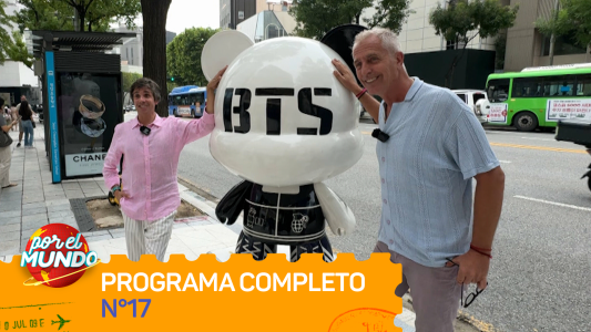 Programa 17