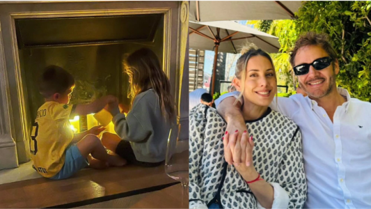 el reencuentro de vicuña con sus hijos