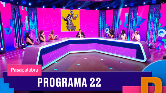 Programa 22