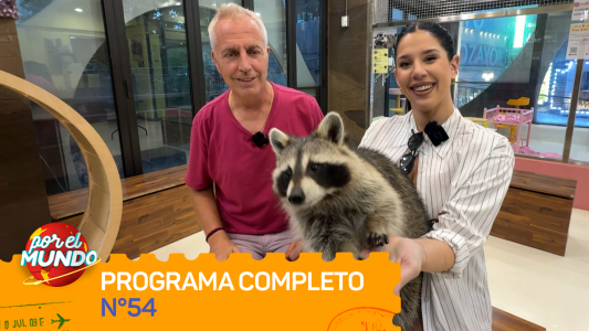 Programa 54
