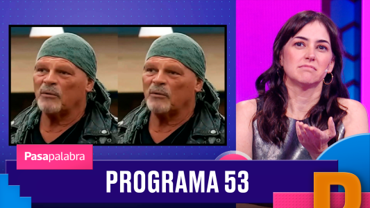 Programa 53