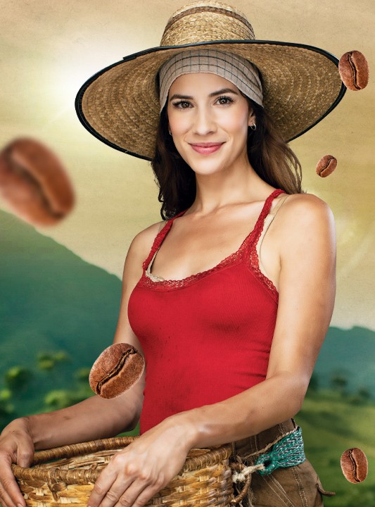 Gaviota - Teresa Suárez